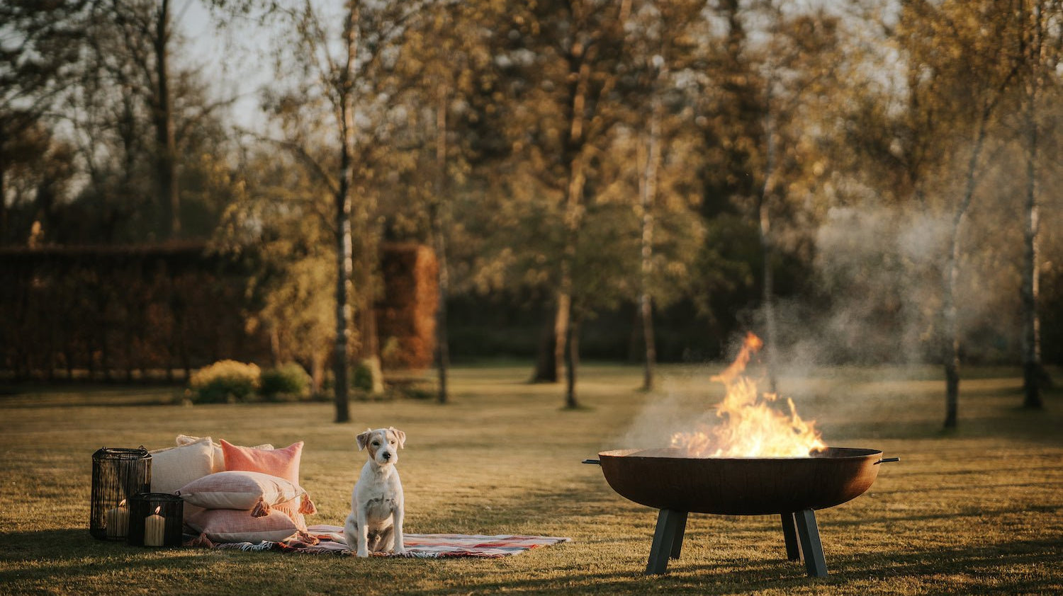 Autumn Outdoors: A Guide to Hosting Outdoors in Autumn - Angela Reed