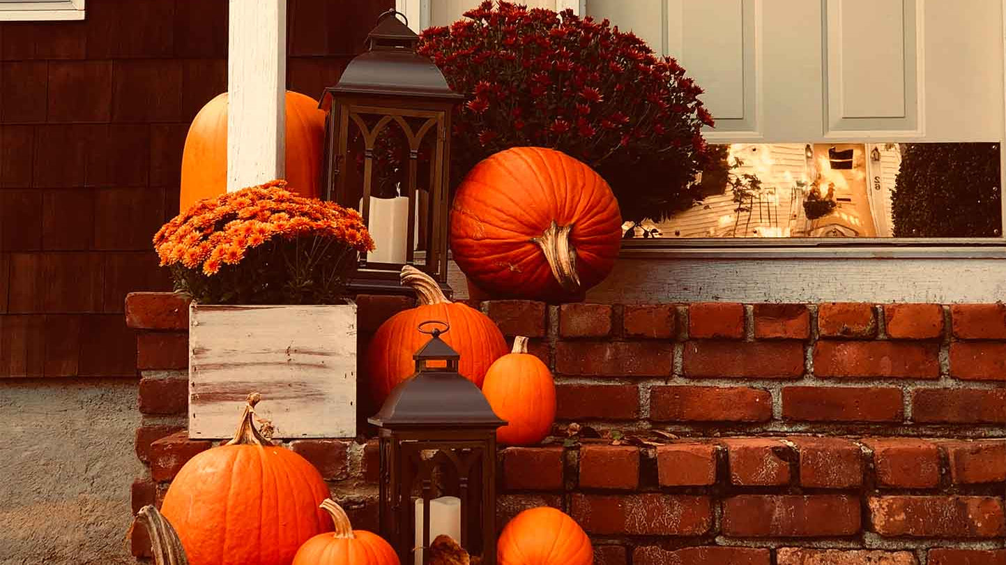 How to Create a Cosy Autumn Living Room - Angela Reed