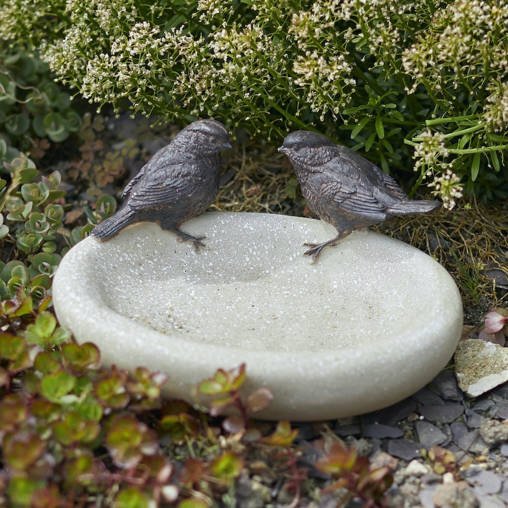 Bird Bowl