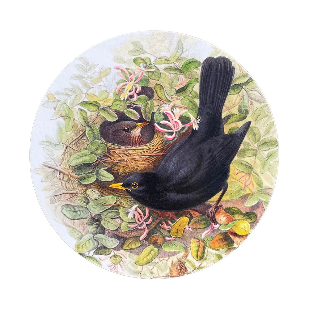 Blackbird Placemat