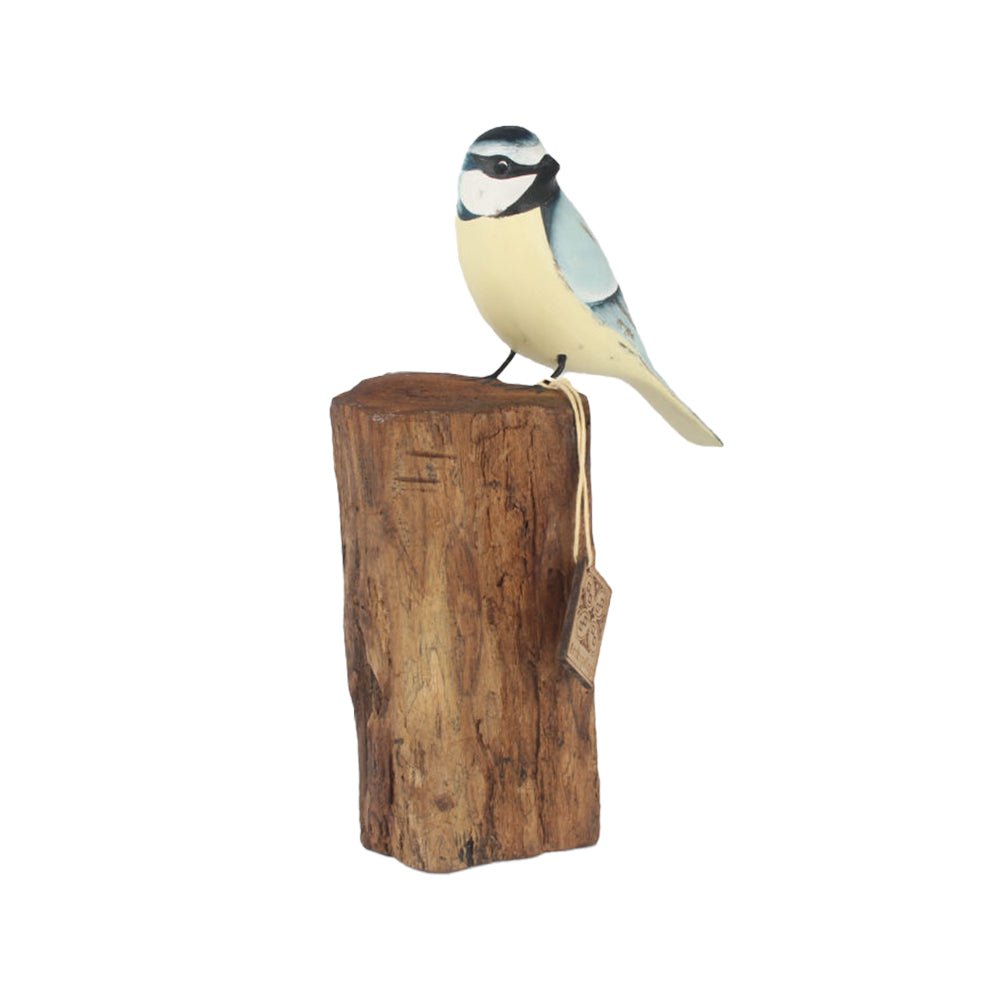 Blue Tit on a Stump - Angela Reed -