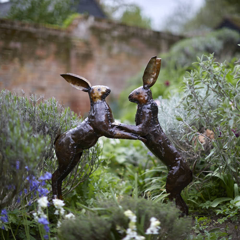 Boxing Hares - Angela Reed -
