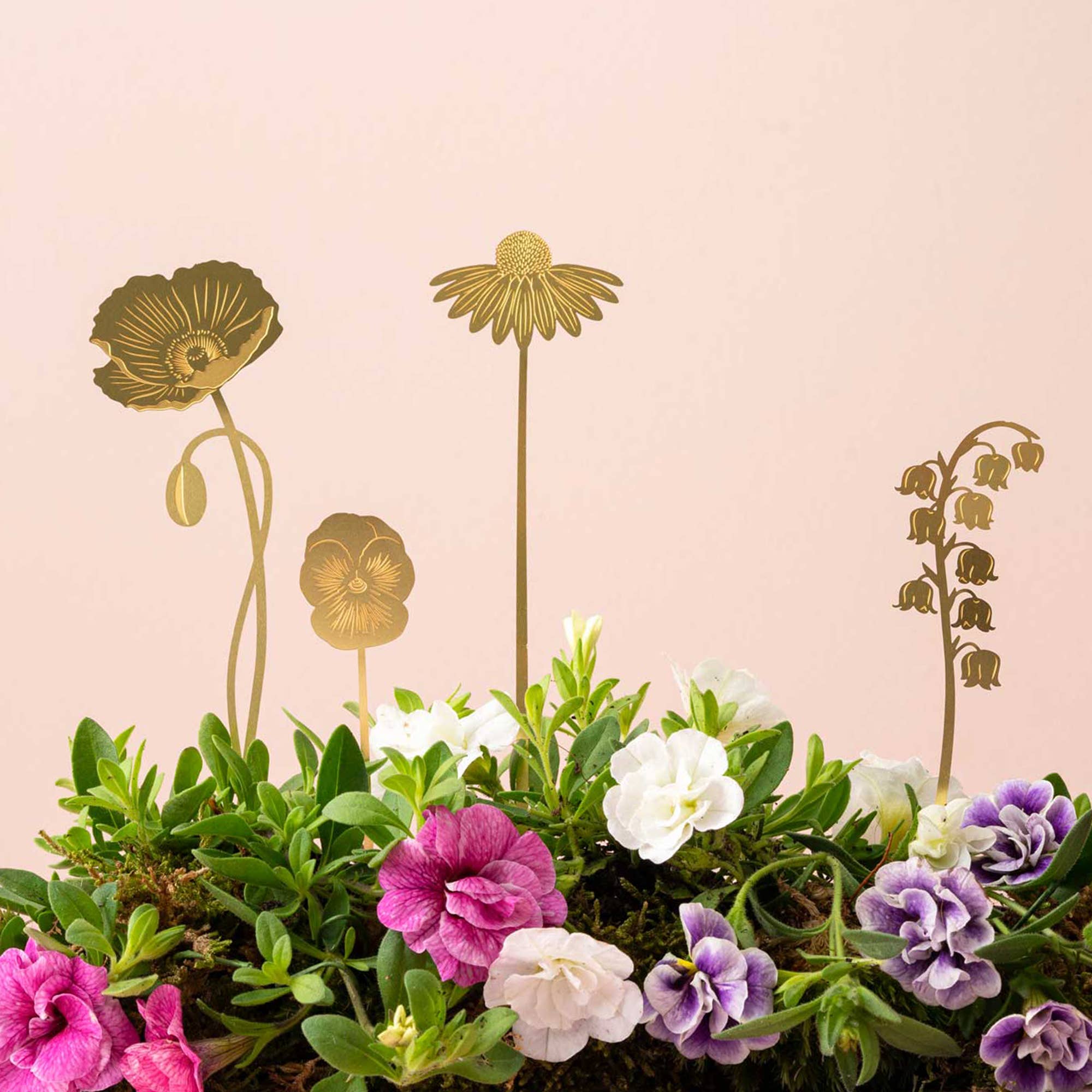 Brass Pot Stems, English Blooms
