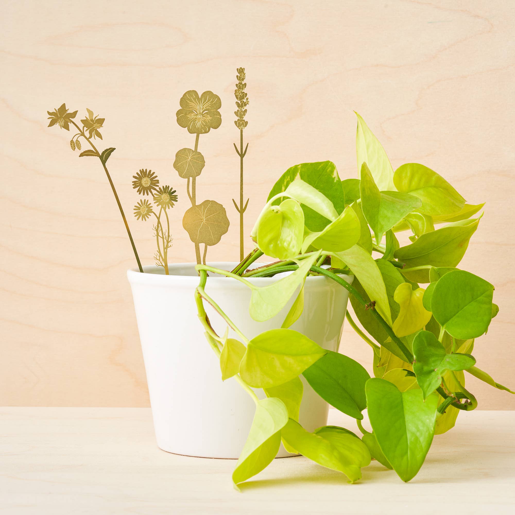 Brass Pot Stems, Herbs