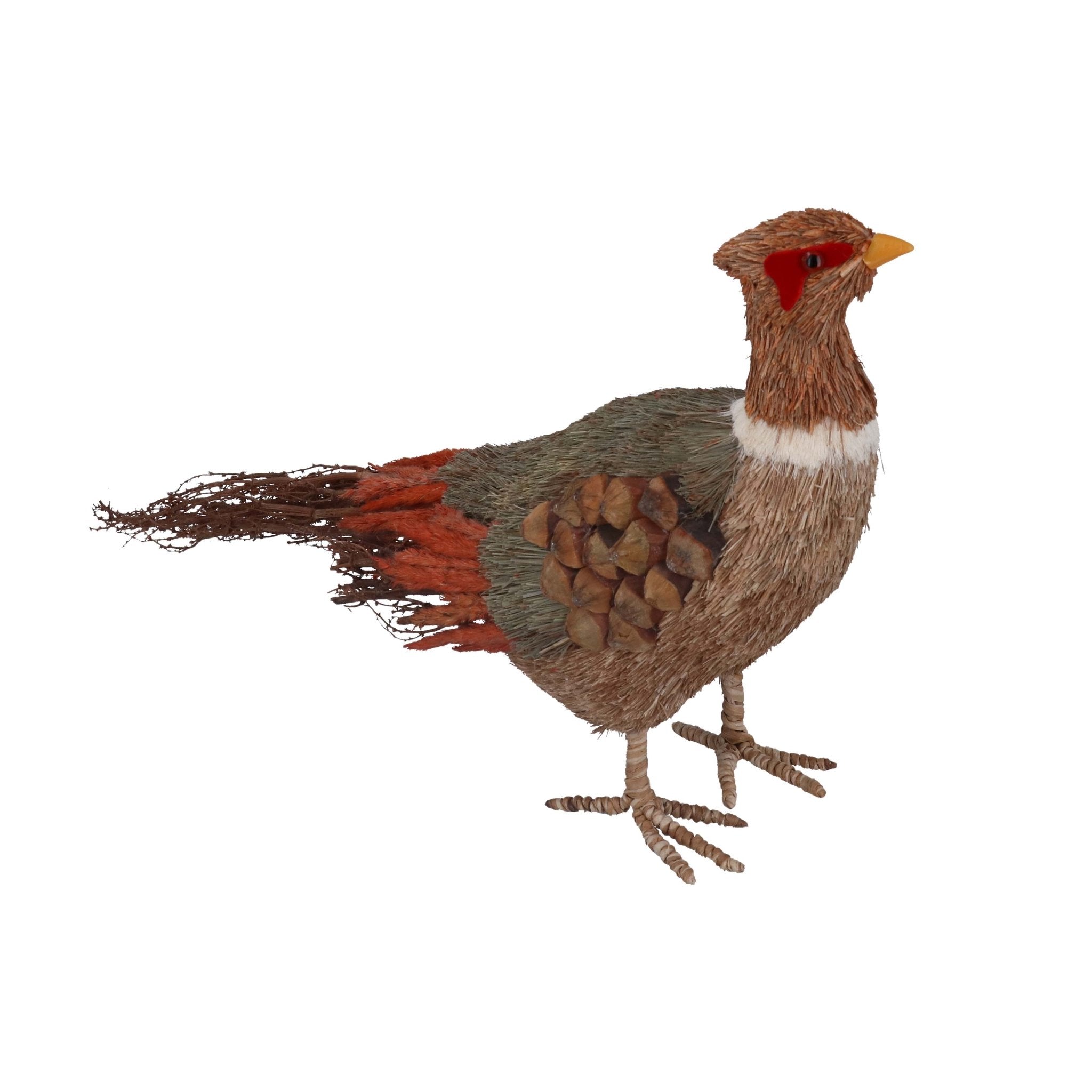 Bristle Pheasant