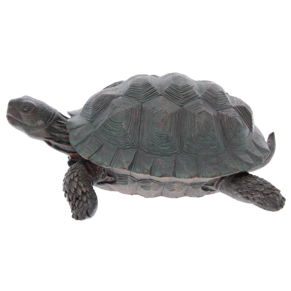 Garden Tortoise