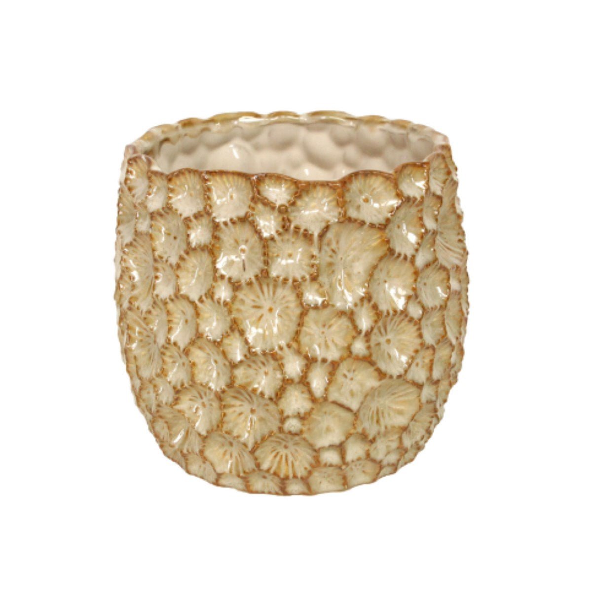 Ceramic Plant Pot, Natural Extra Large,Large,Small