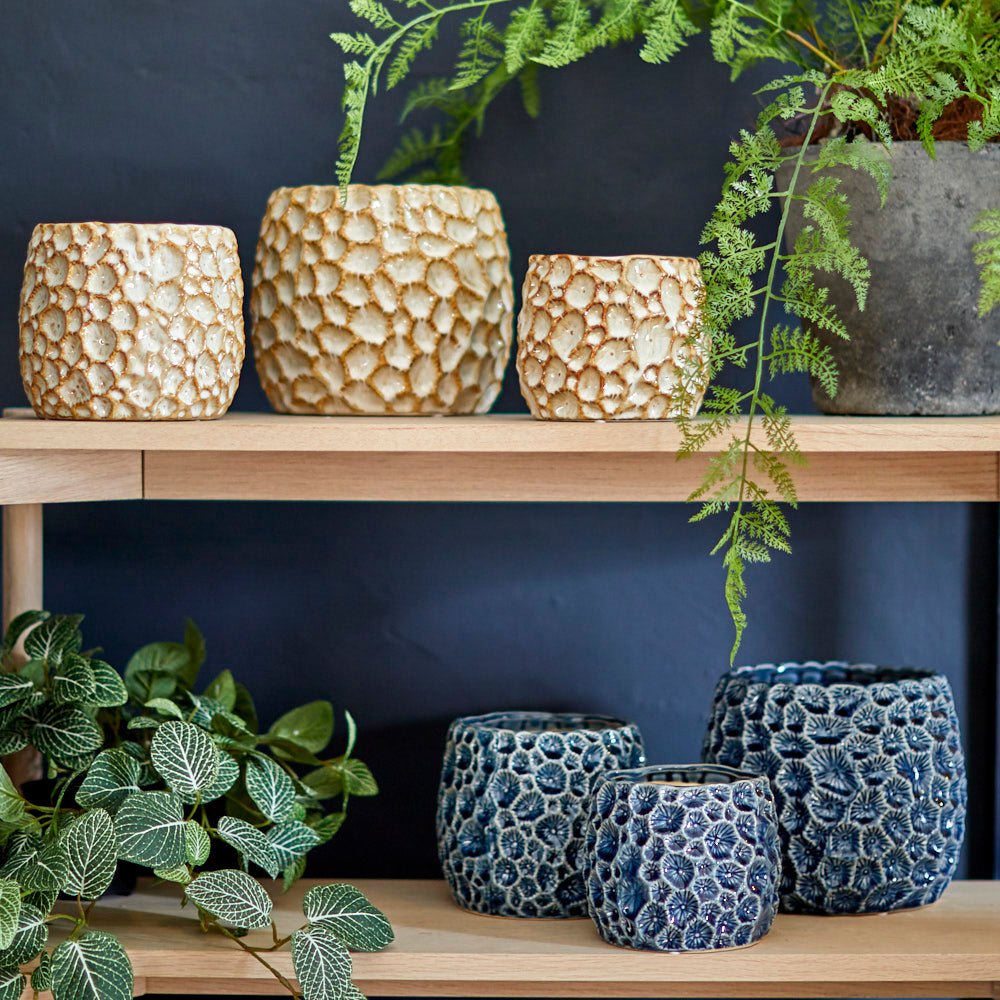 Ceramic Plant Pot, Navy Extra Large,Large,Small