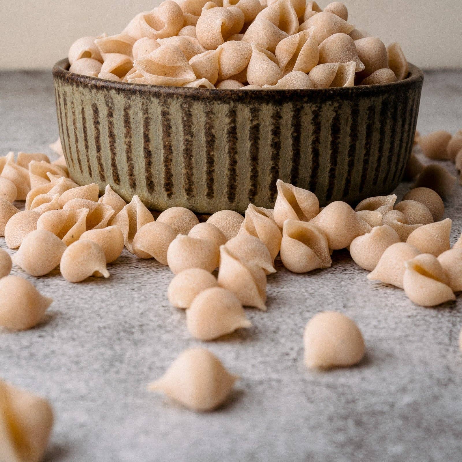 Conchigliette Northern Pasta