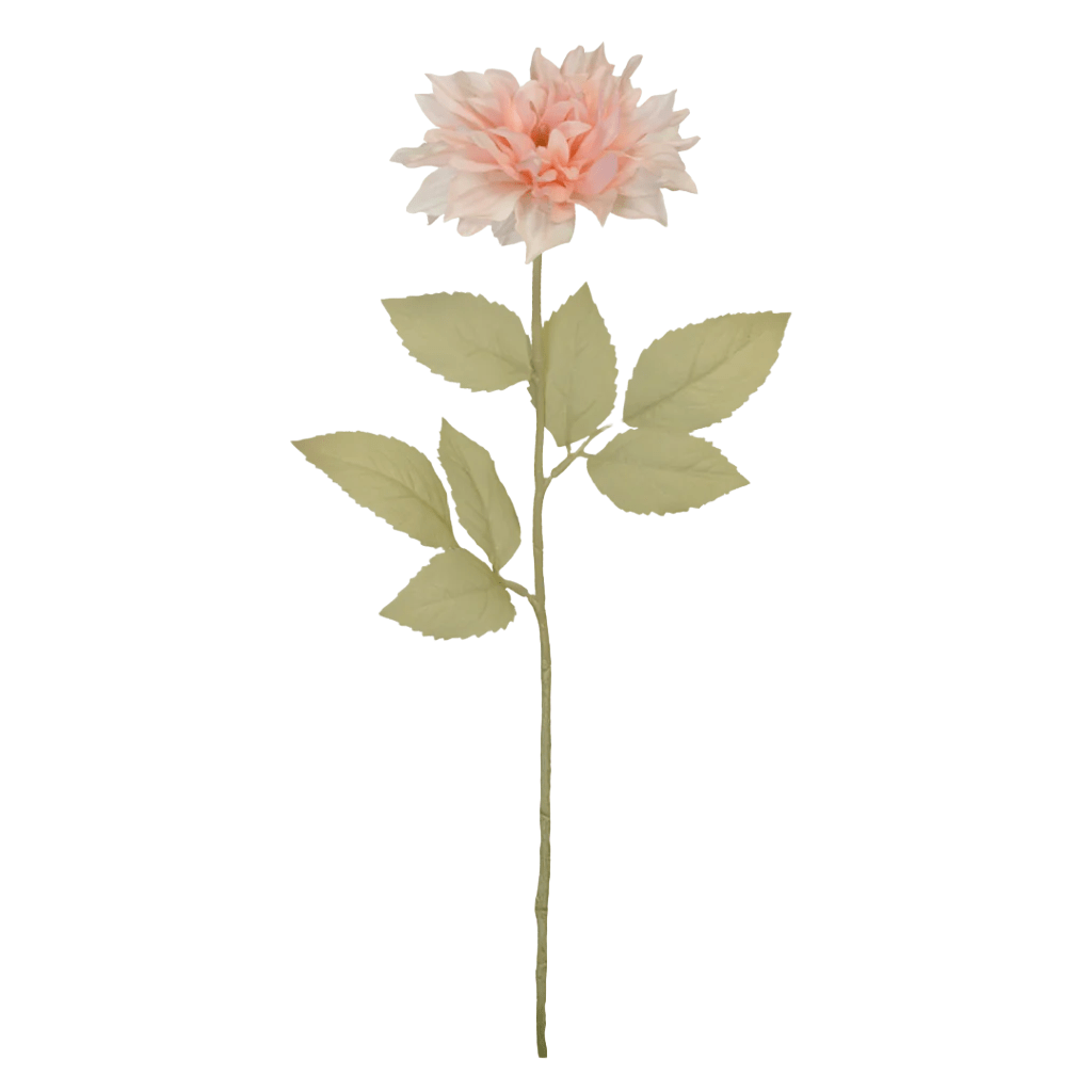 Dahlia Fairway Pilot