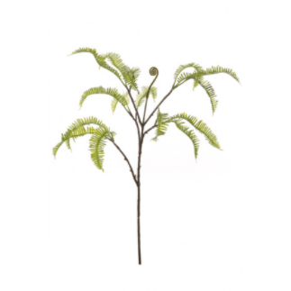 Dragon Fern Spray, 76cm