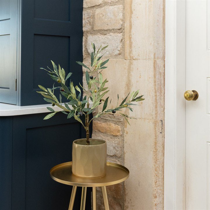 Faux Olive Plant