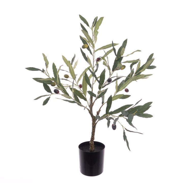 Faux Olive Plant