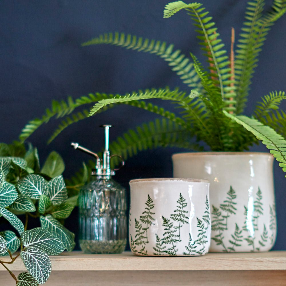 Fern Pot, Large