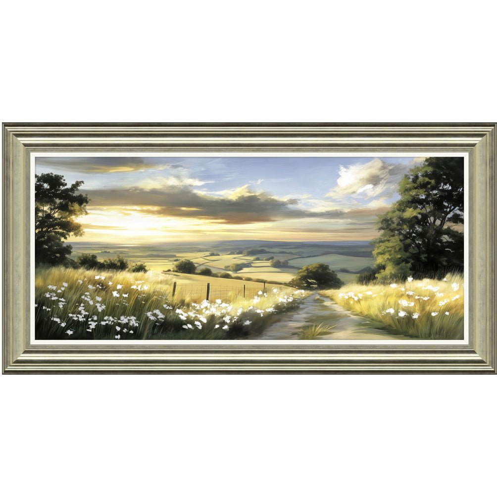 Fields of Light - Angela Reed -