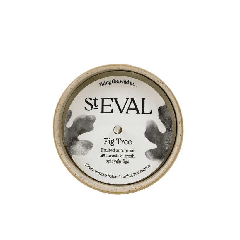 Fig Tree, Sea & Shore Pot - Angela Reed -