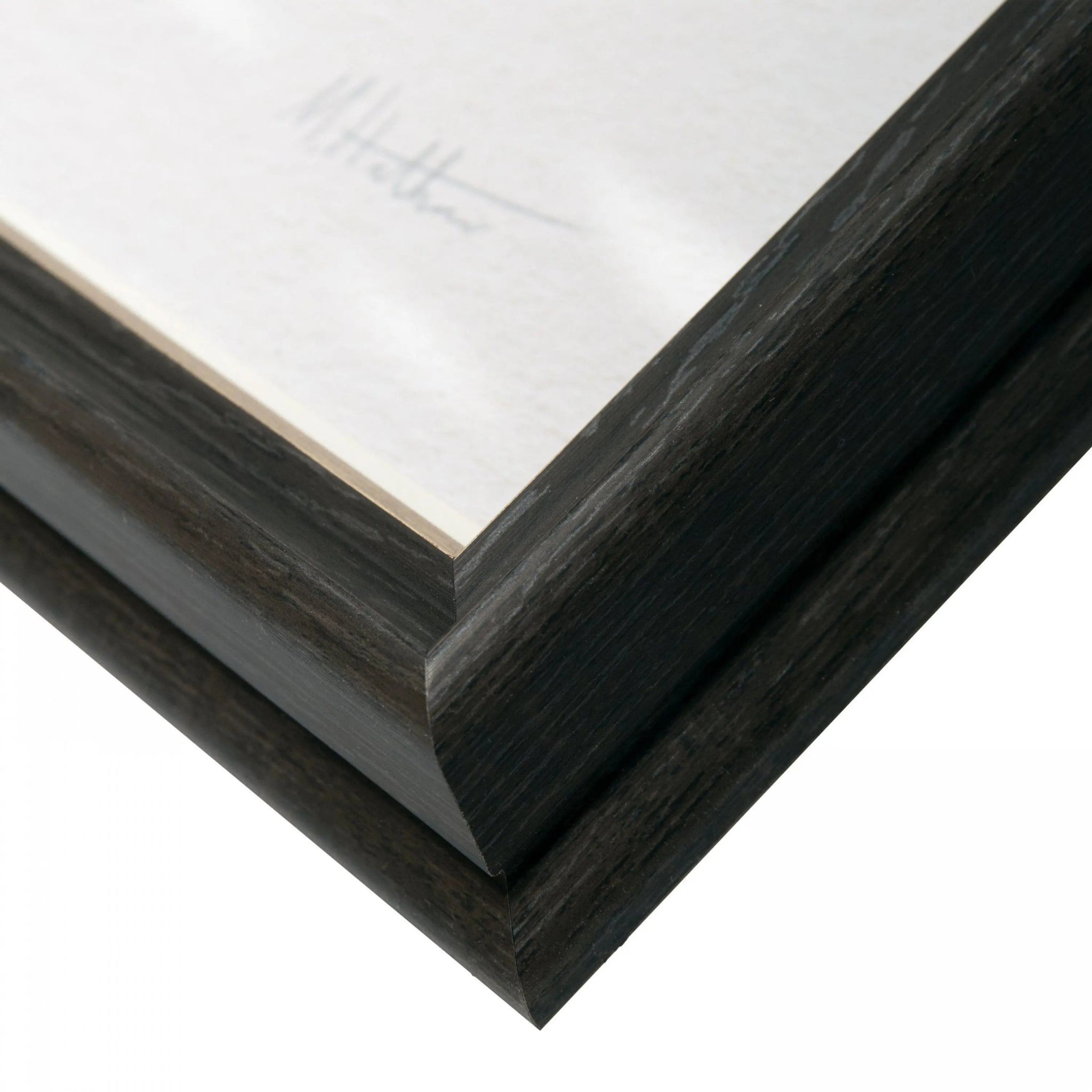 Flock Together Framed Art