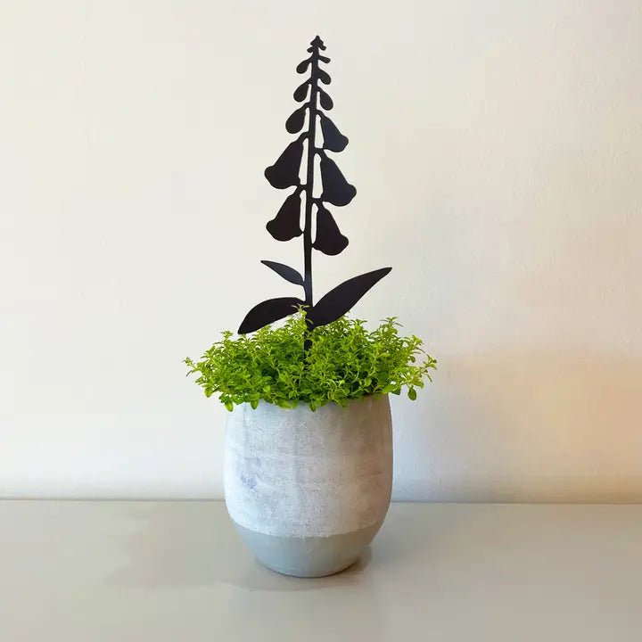 Foxglove Pot Stem