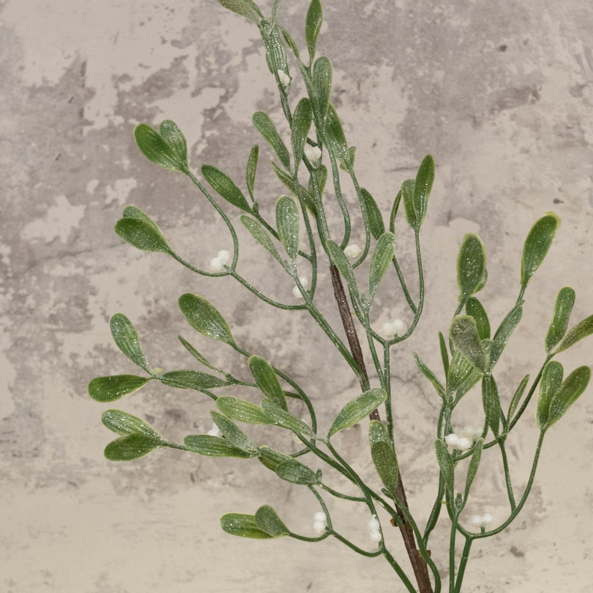 Frosted Mistletoe Spray