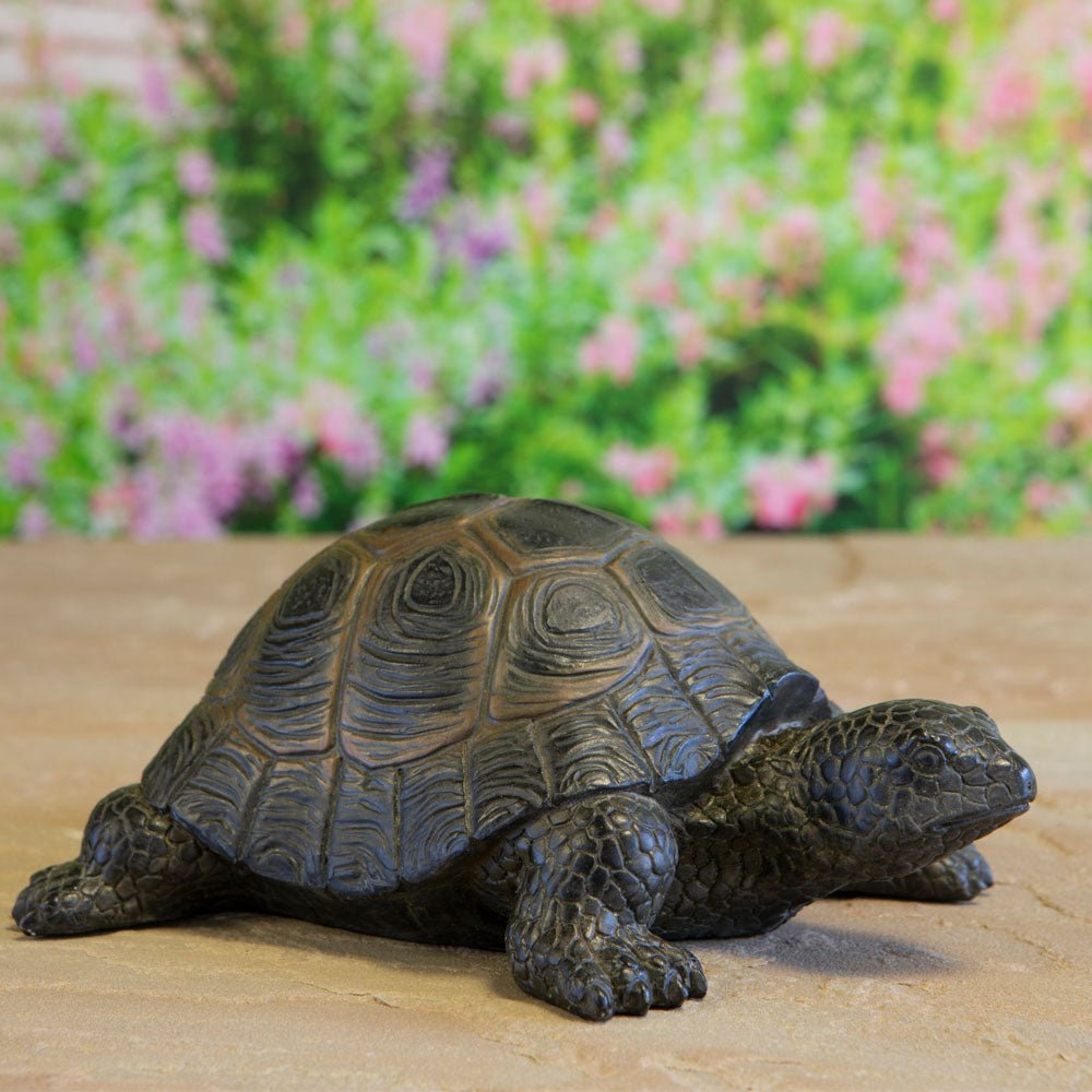 Garden Tortoise, Small