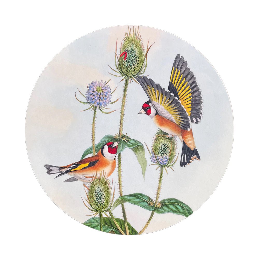 Goldfinch Placemat