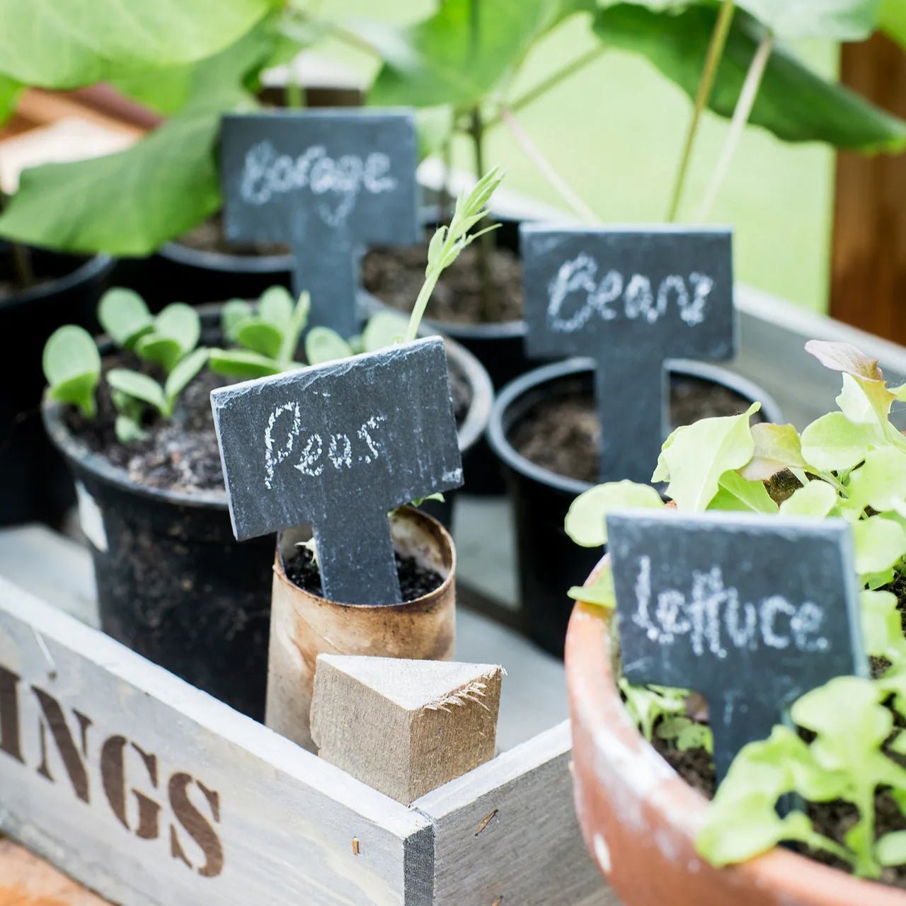 Greenhouse Slate Tags, Set of 6