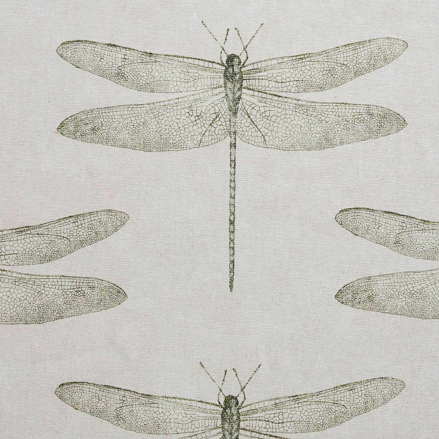 Harlequin Demoiselle Washable Rug, Fern 76 x 150cm,120 x 170cm,152 x 230cm,185 x 290cm,61 x 230cm