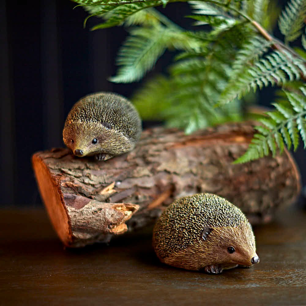 Hedgehog Small