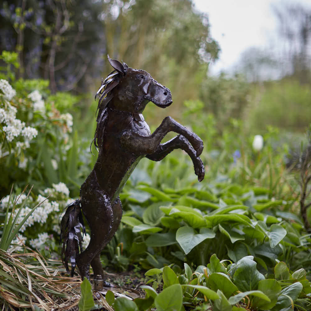Horse Sculpture - Angela Reed -