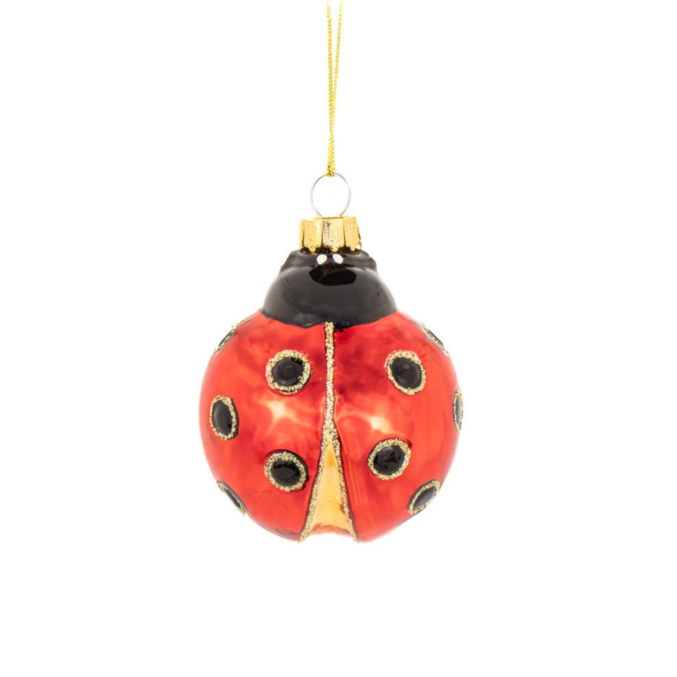 Ladybird Shaped Bauble