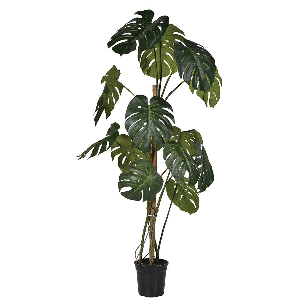Large Faux Green Monstera Tree