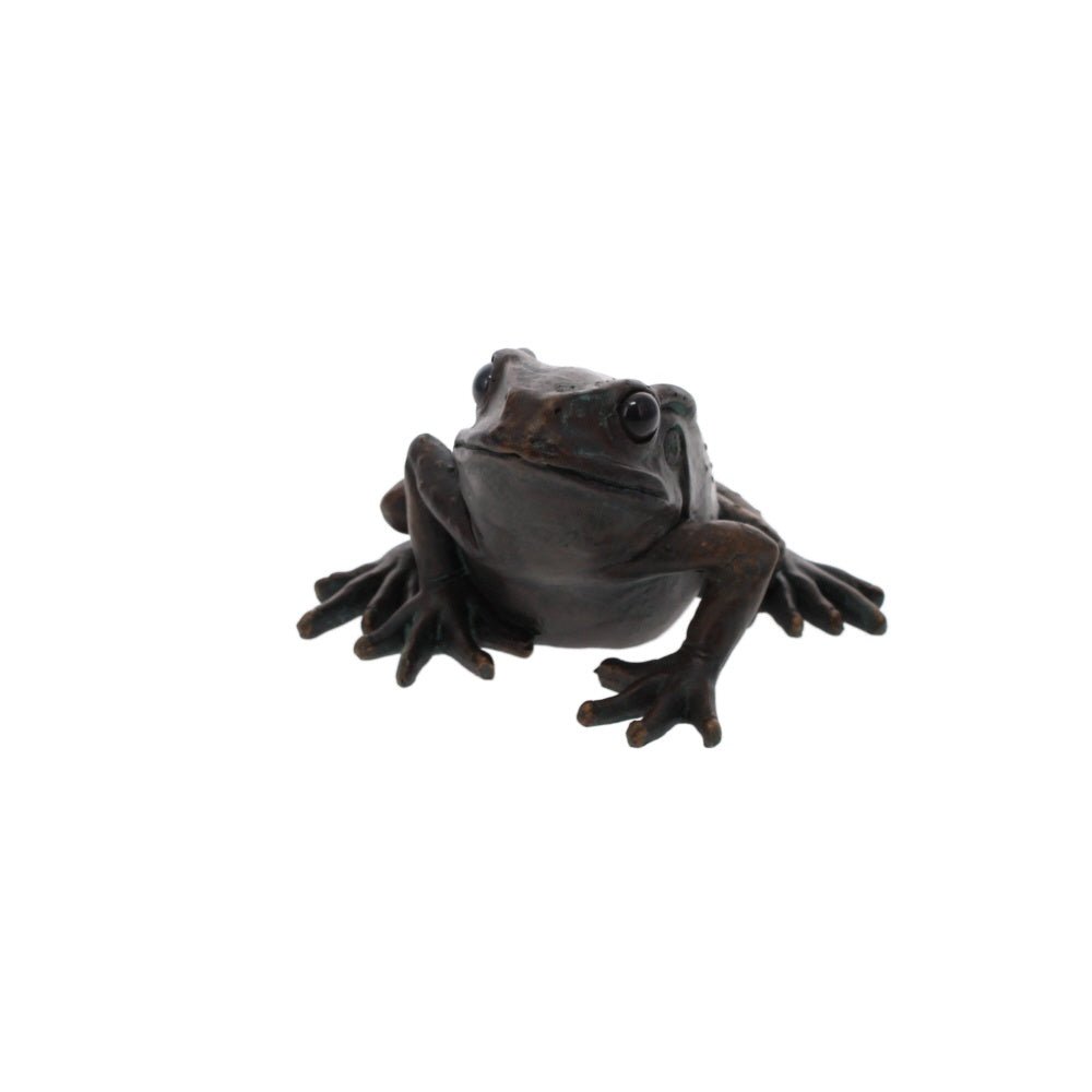 Large Frog - B
