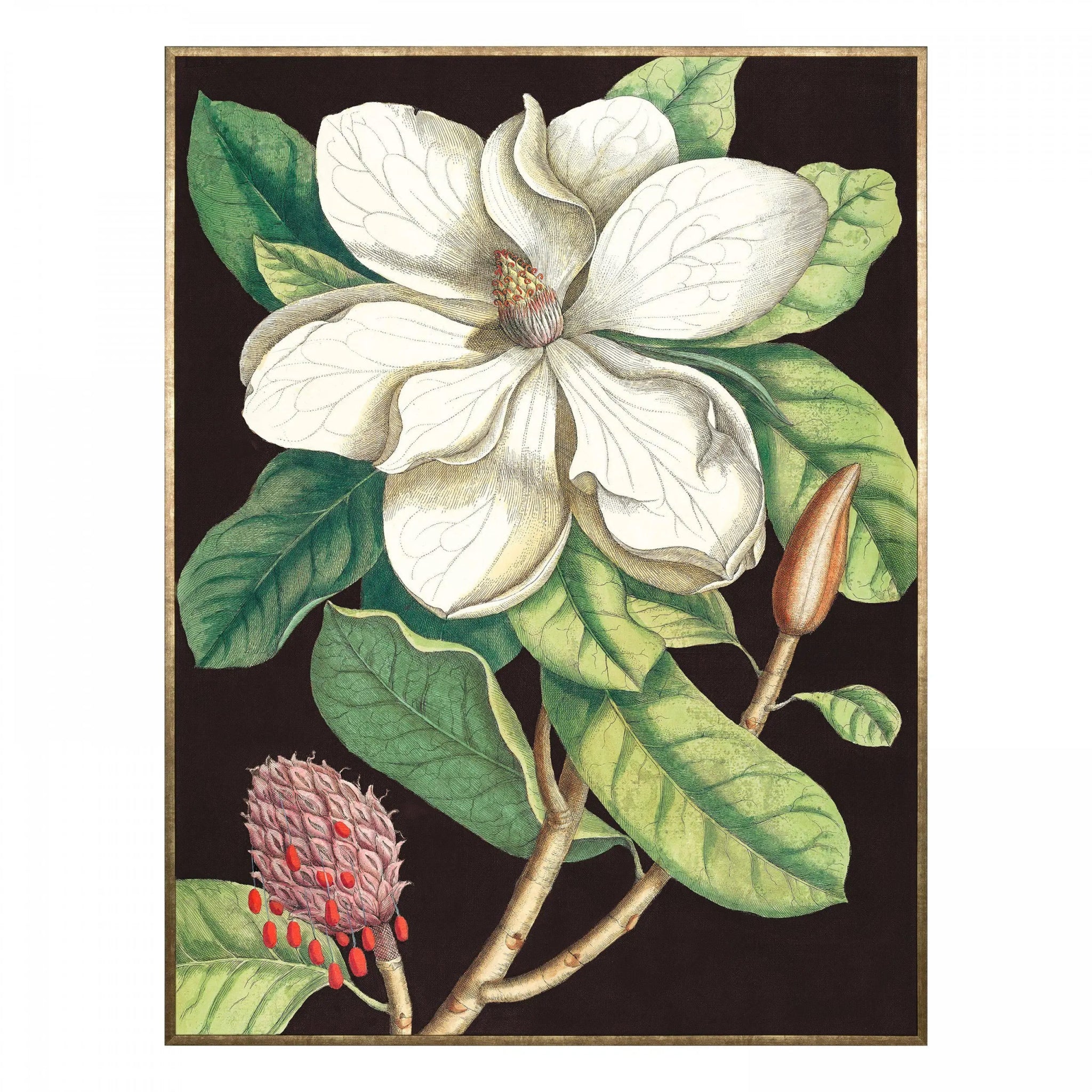 Laurel Tree Framed Canvas - Angela Reed -