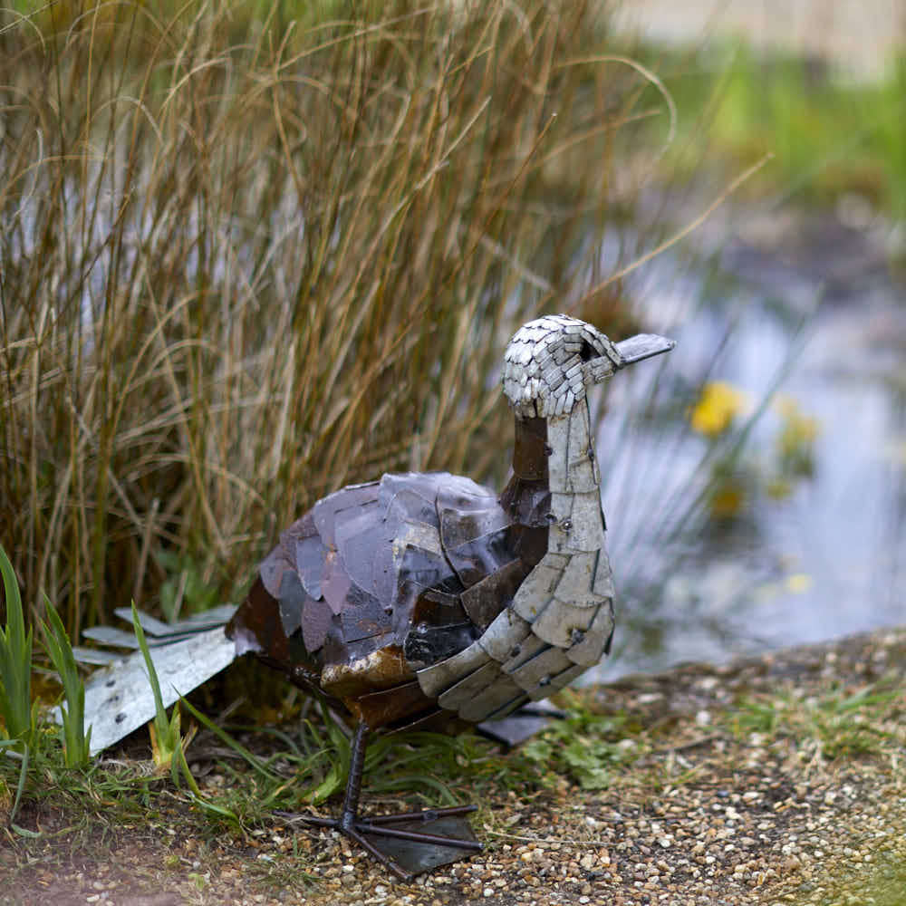 Metal Duck - Angela Reed -