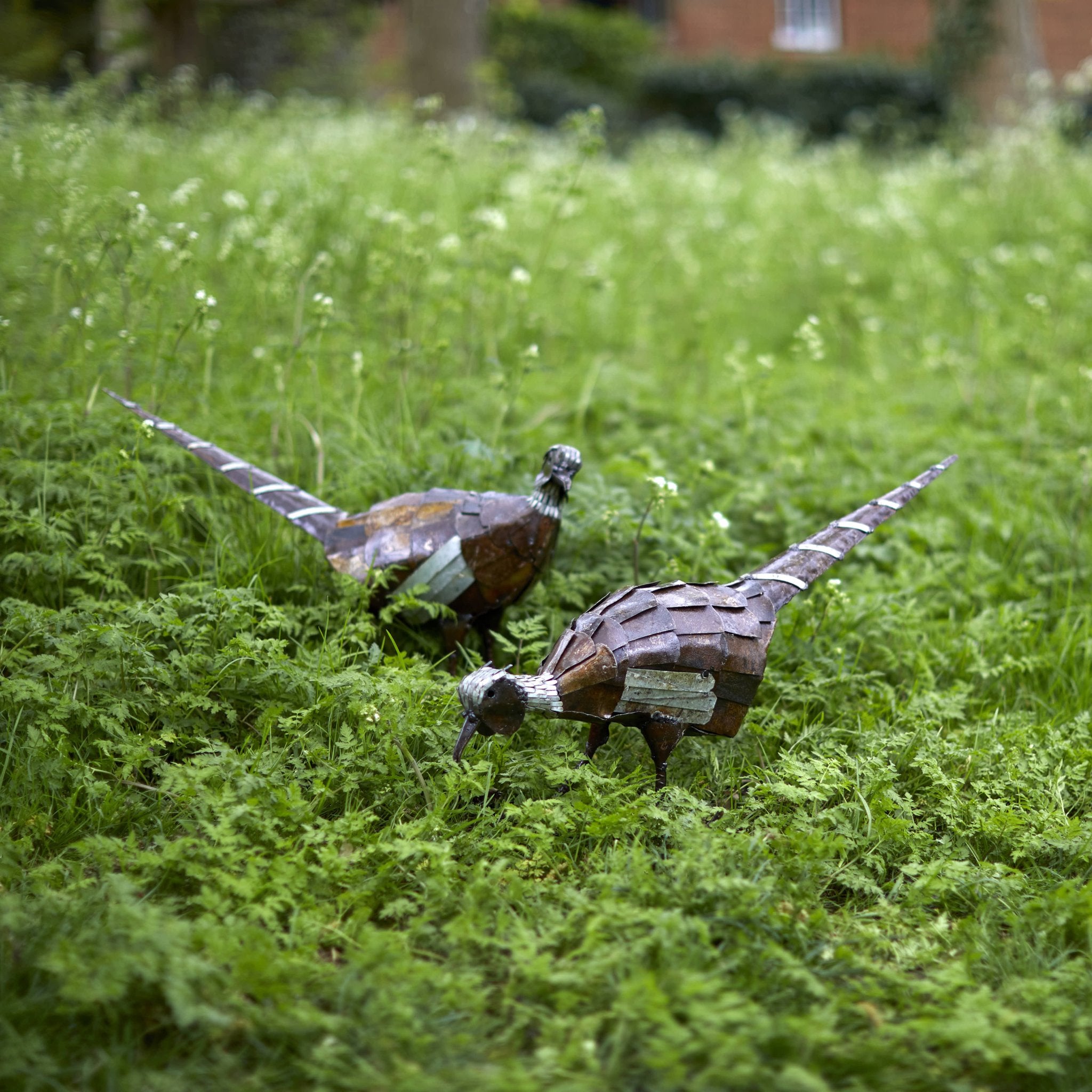 Pecking Pheasant Recycled Metal Sculpture - Angela Reed -