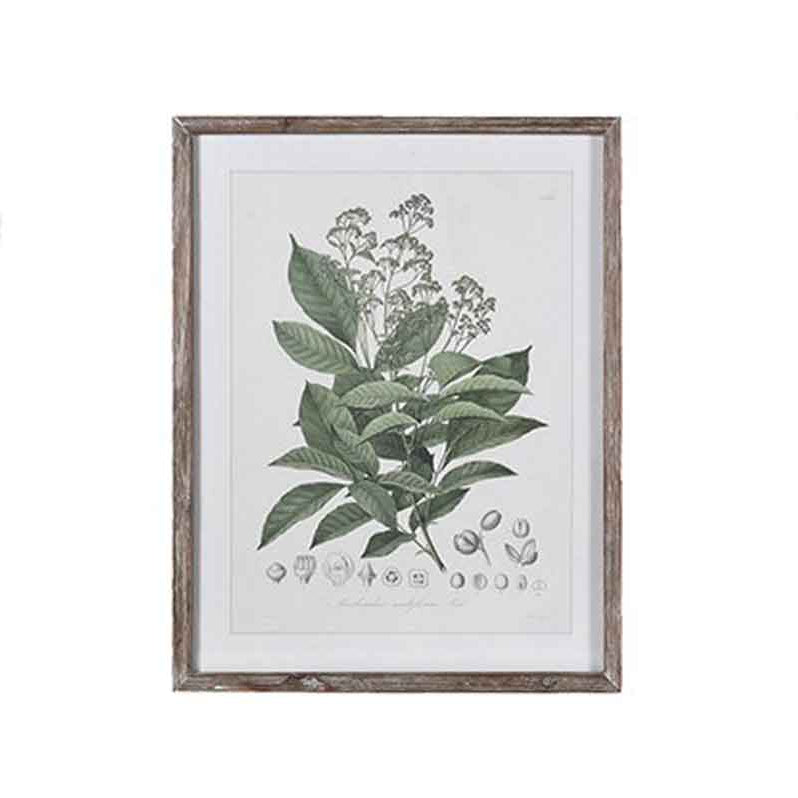 Perennial Herbs Wall Art, Assorted Designs