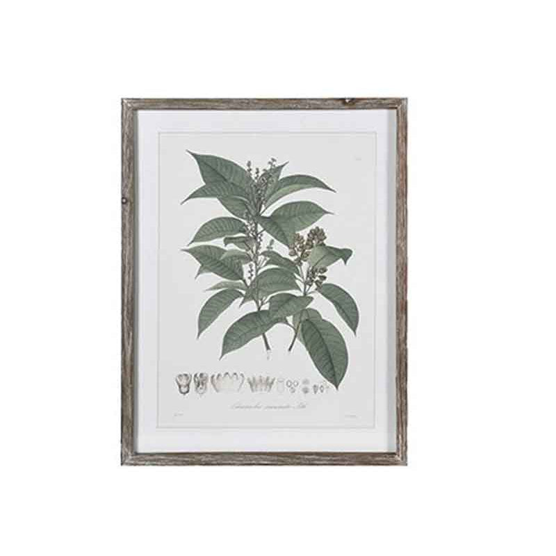 Perennial Herbs Wall Art, Assorted Designs