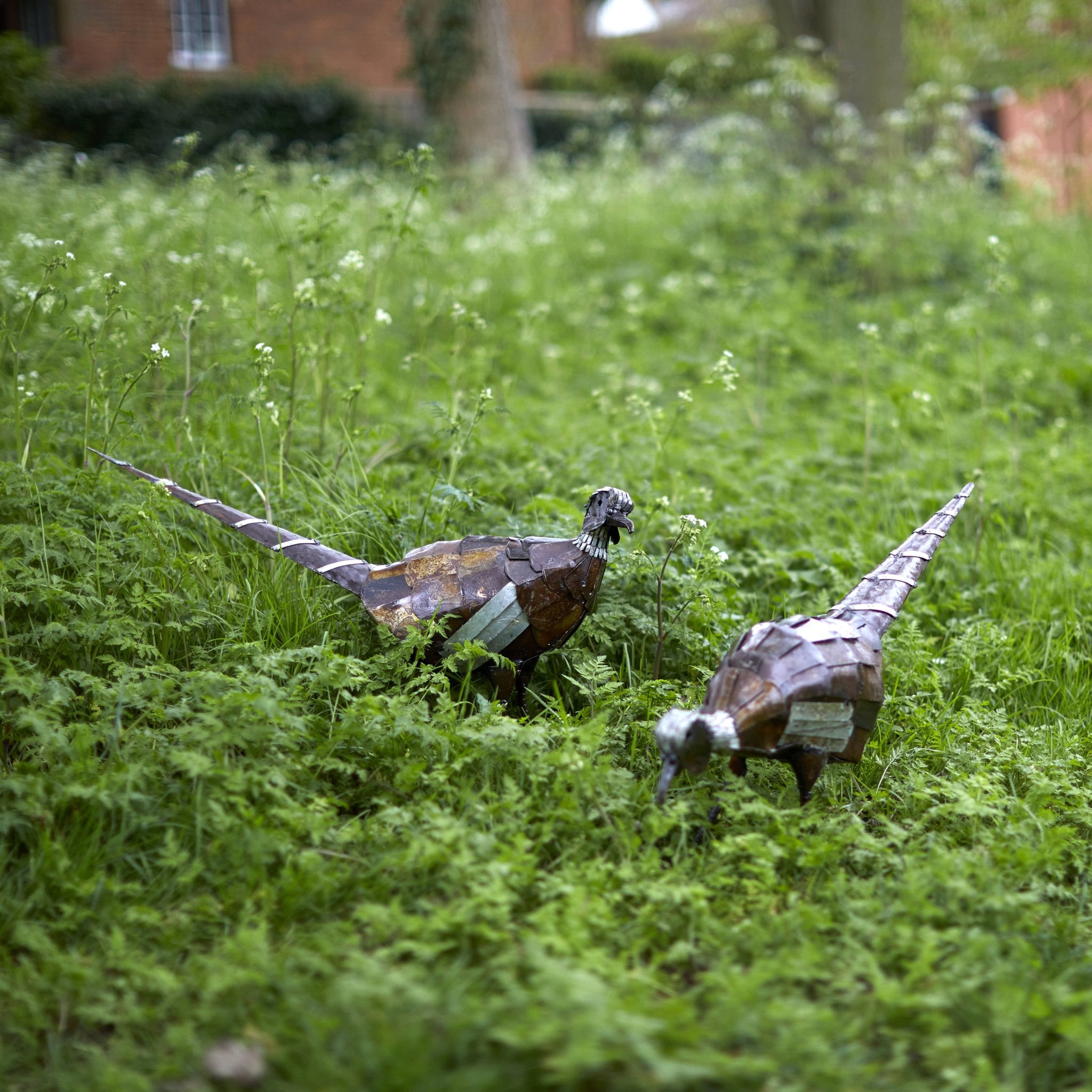 Pheasant Recycled Metal Sculpture - Angela Reed -