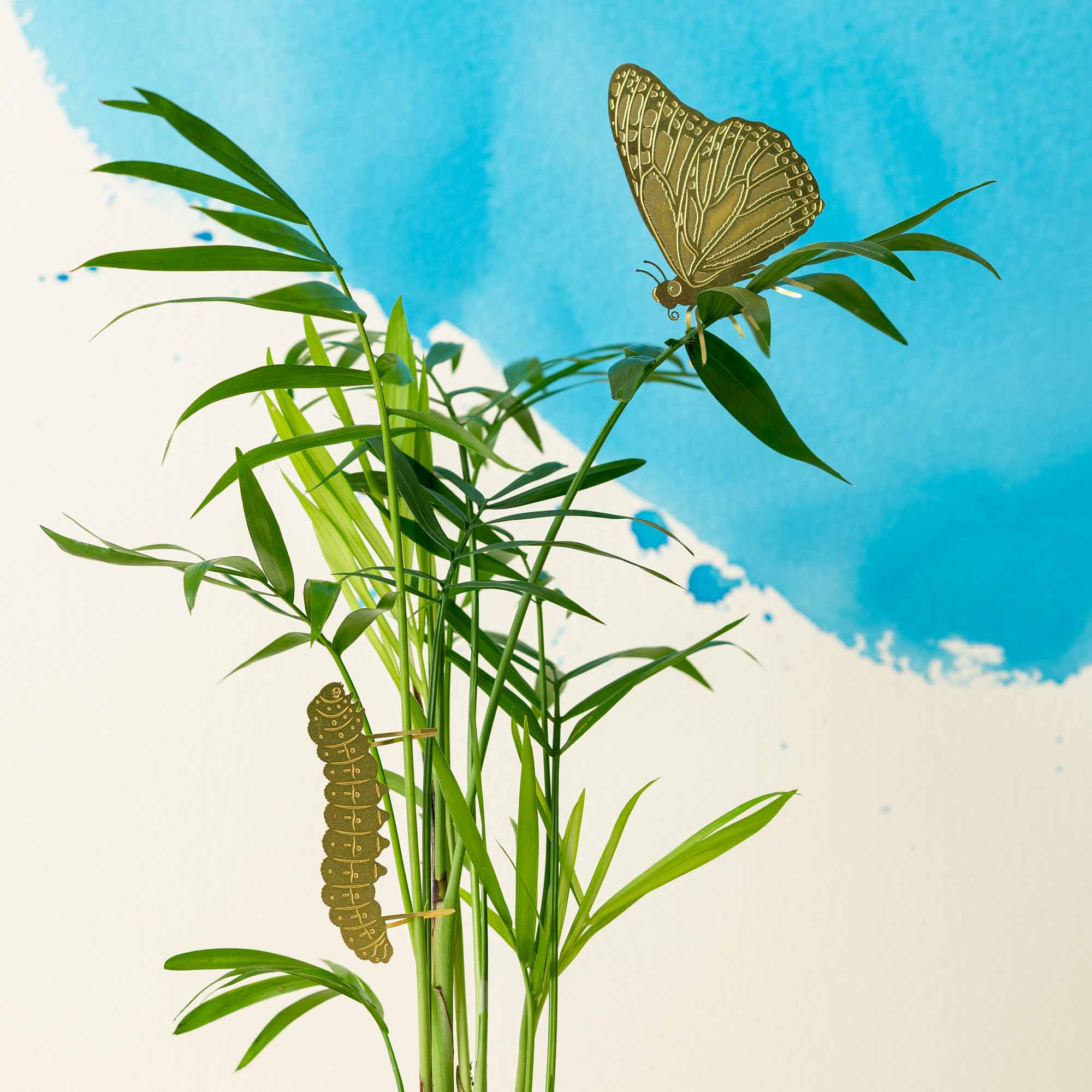 Plant Animal - Butterfly, House Plant Decoration