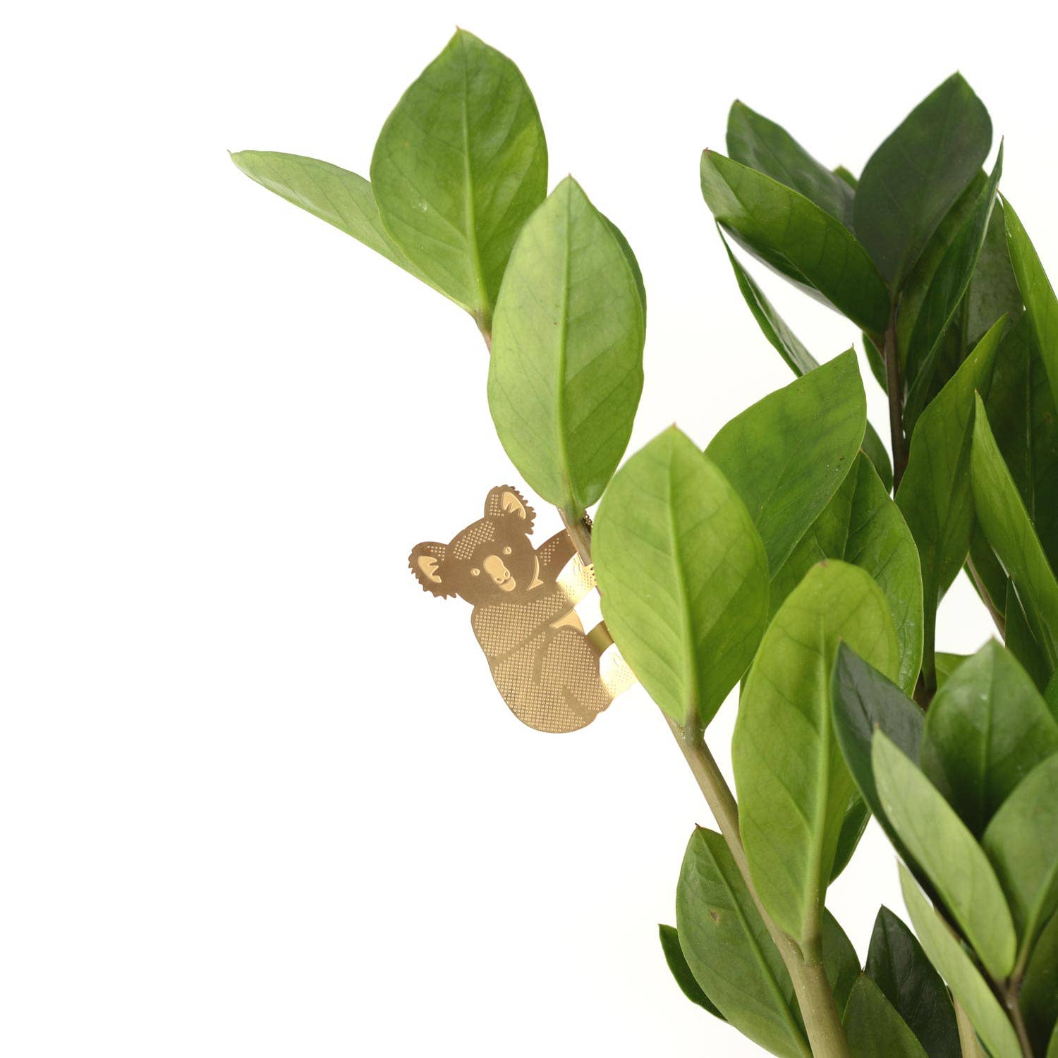 Plant Animal - Koala Bear, Plant Hugger Decoration
