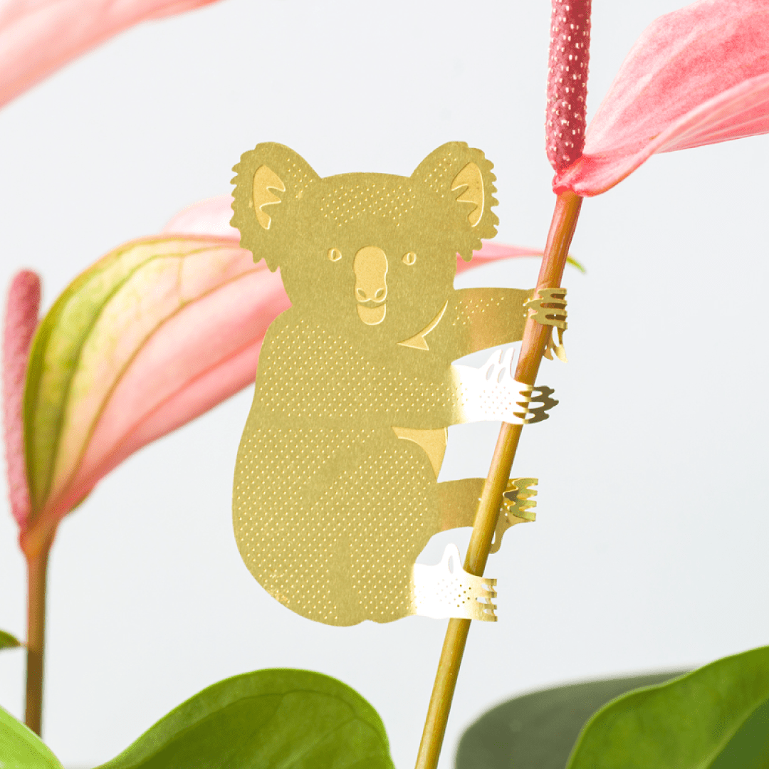 Plant Animal - Koala Bear, Plant Hugger Decoration