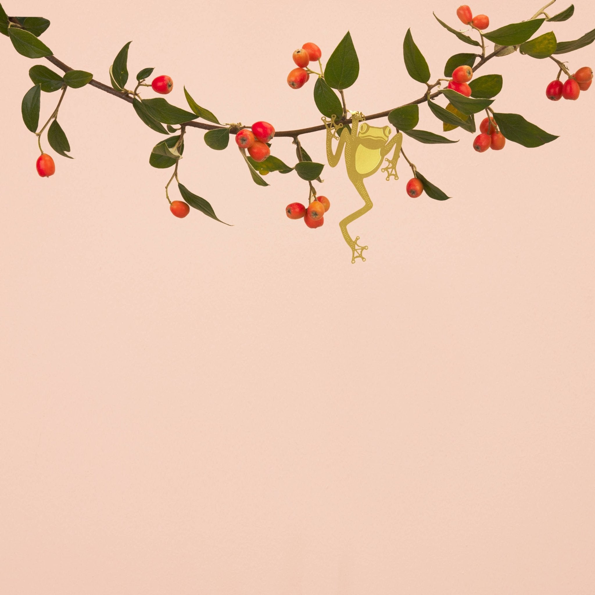 Plant Animal - Tree Frog, Unique House Plant Gift