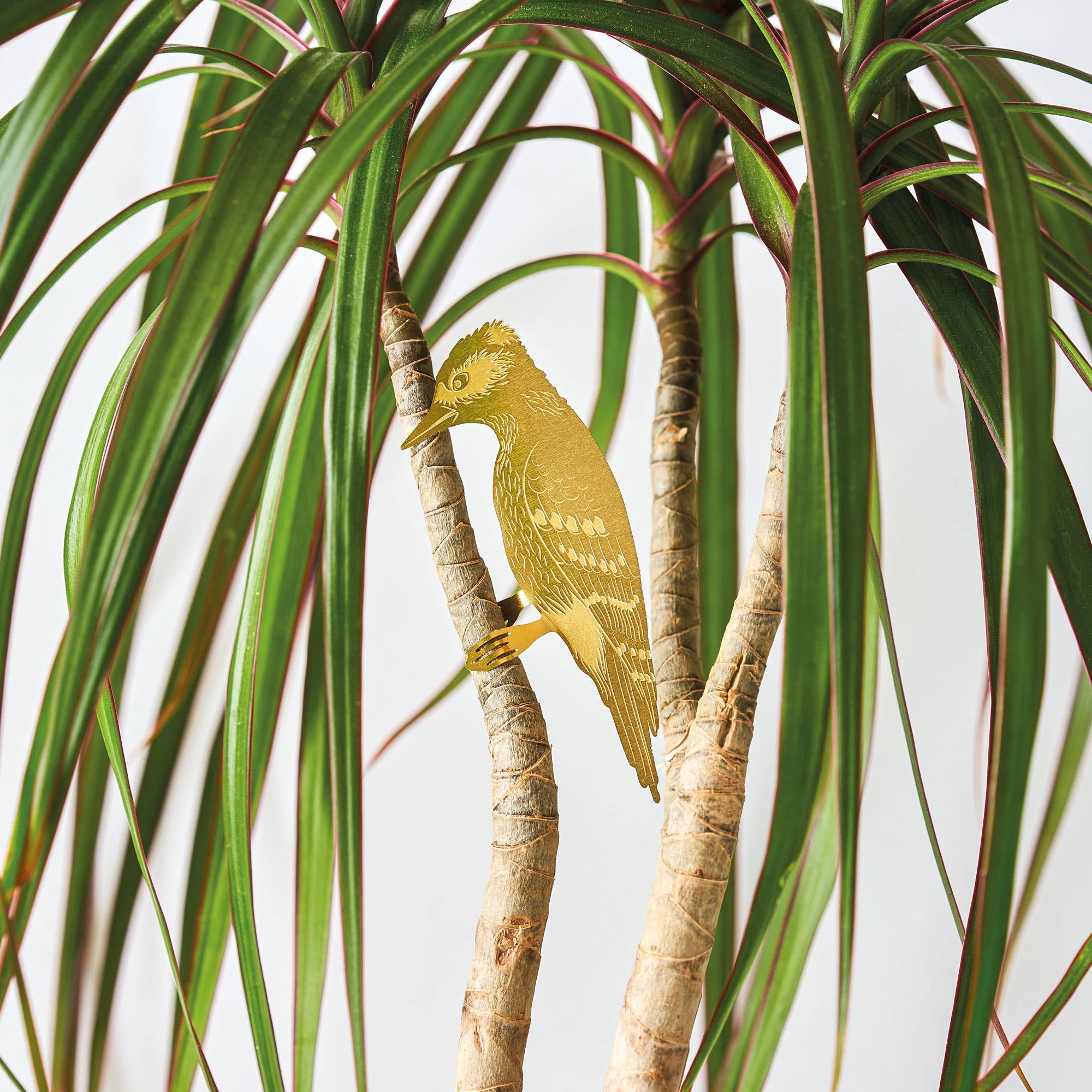 Plant Animal Woodpecker, Bird Houseplant Decoration