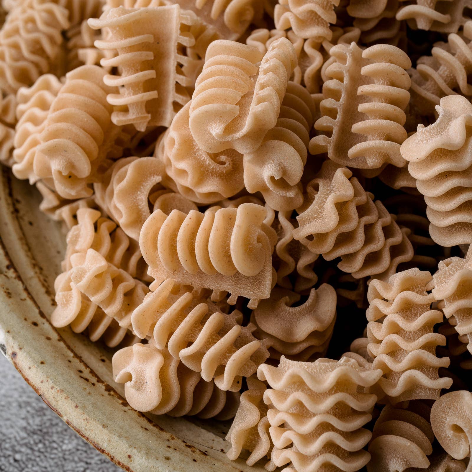 Radiatori Northern Pasta