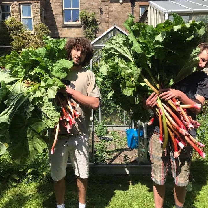 Rhubarb Chilli Jam 400g