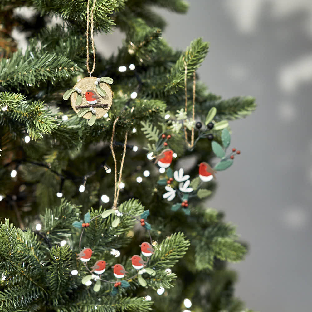 Robin and Mistletoe on a Log
