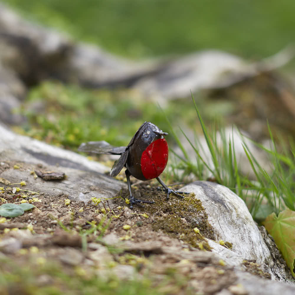 Robin - Angela Reed -