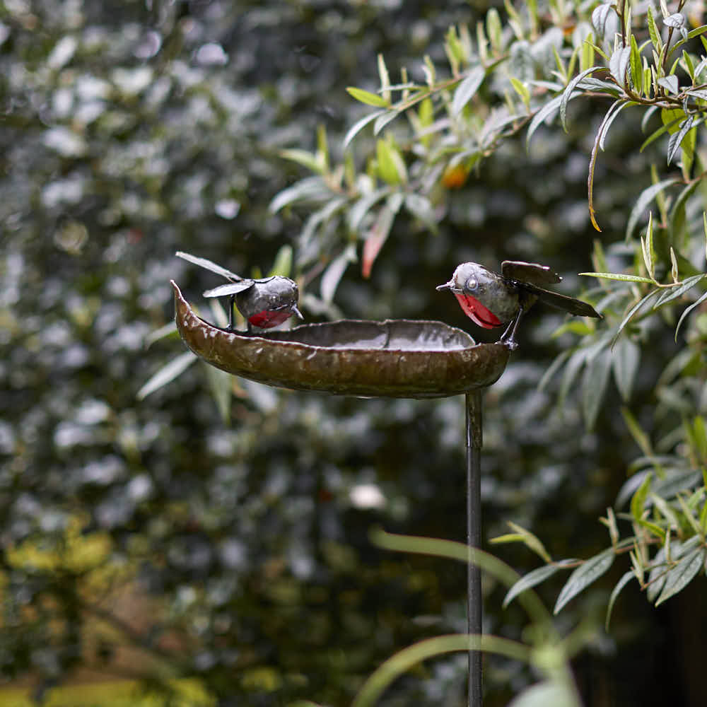 Robin Bird Feeder - Angela Reed -