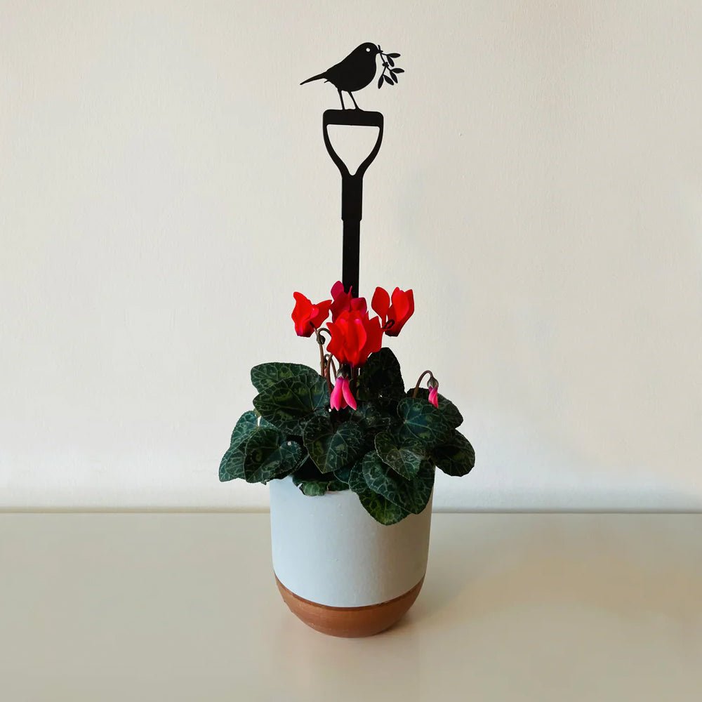 Robin on Fork With Mistletoe Pot Stem