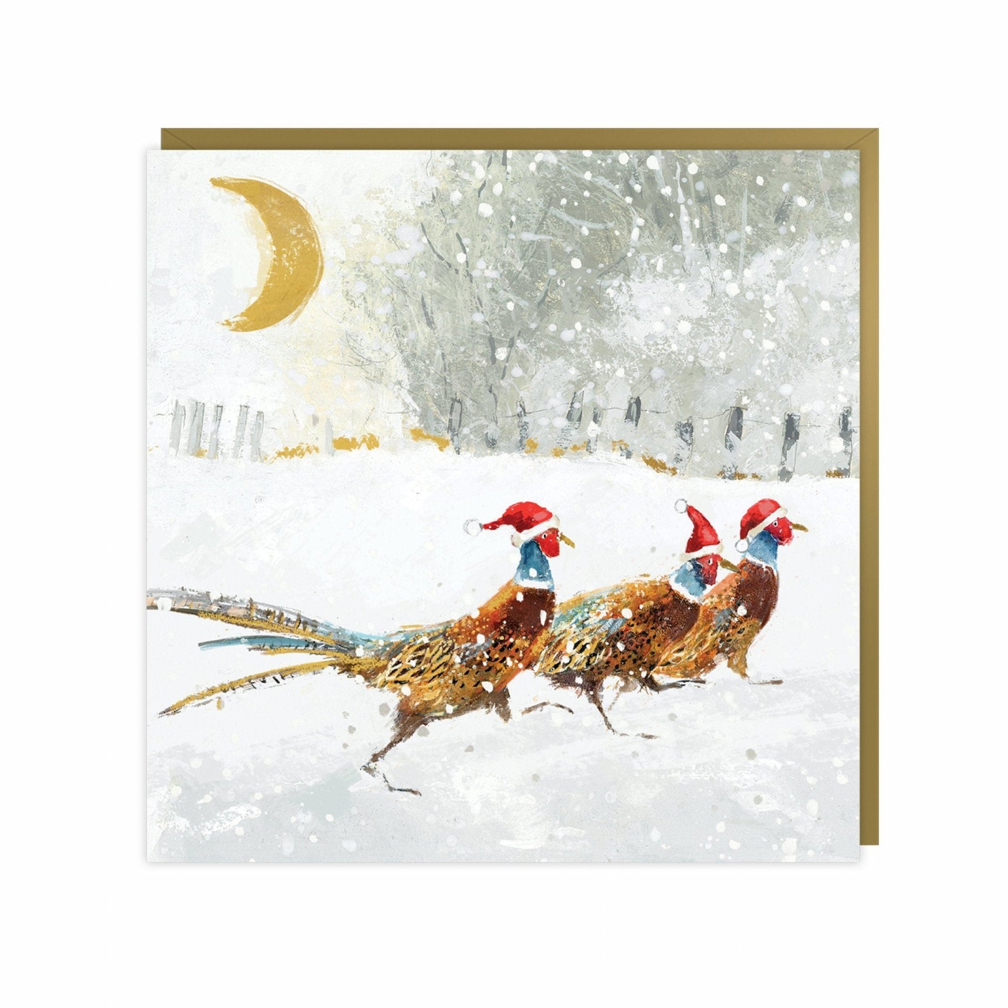 Santa Dash, Pack of 6 Charity Christmas Cards